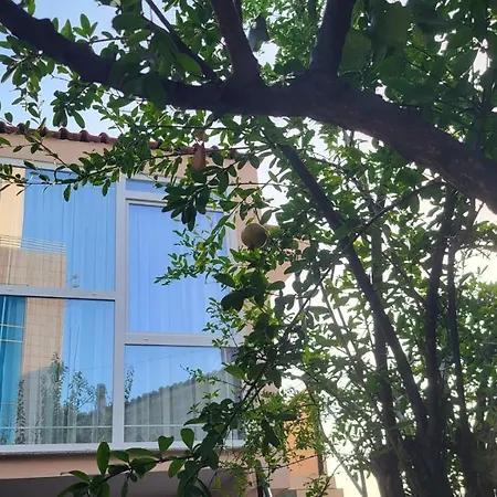 Karanxha's * ティラナ